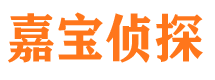 平塘侦探公司